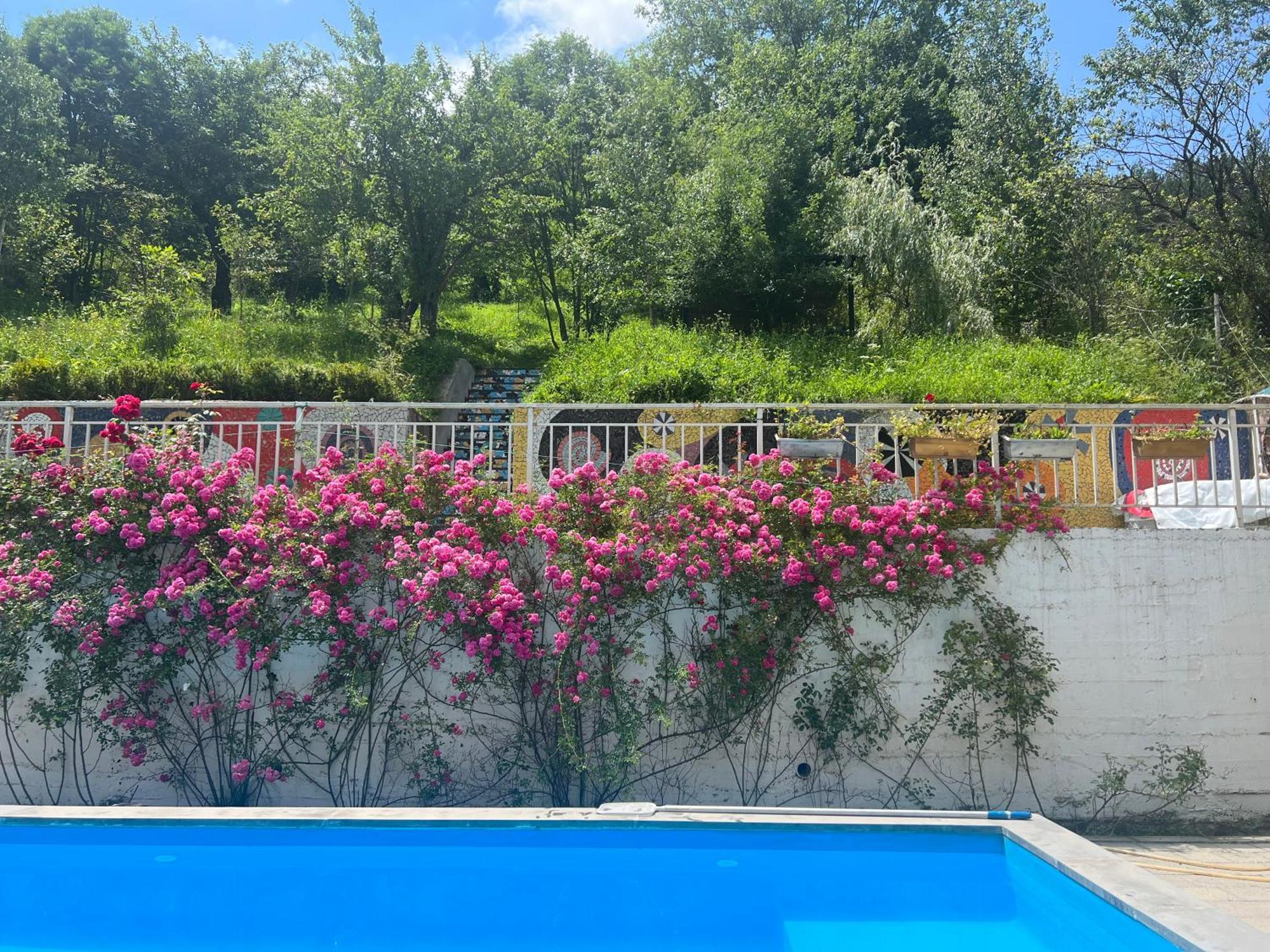 Dilijan Duplex Villa Luaran gambar