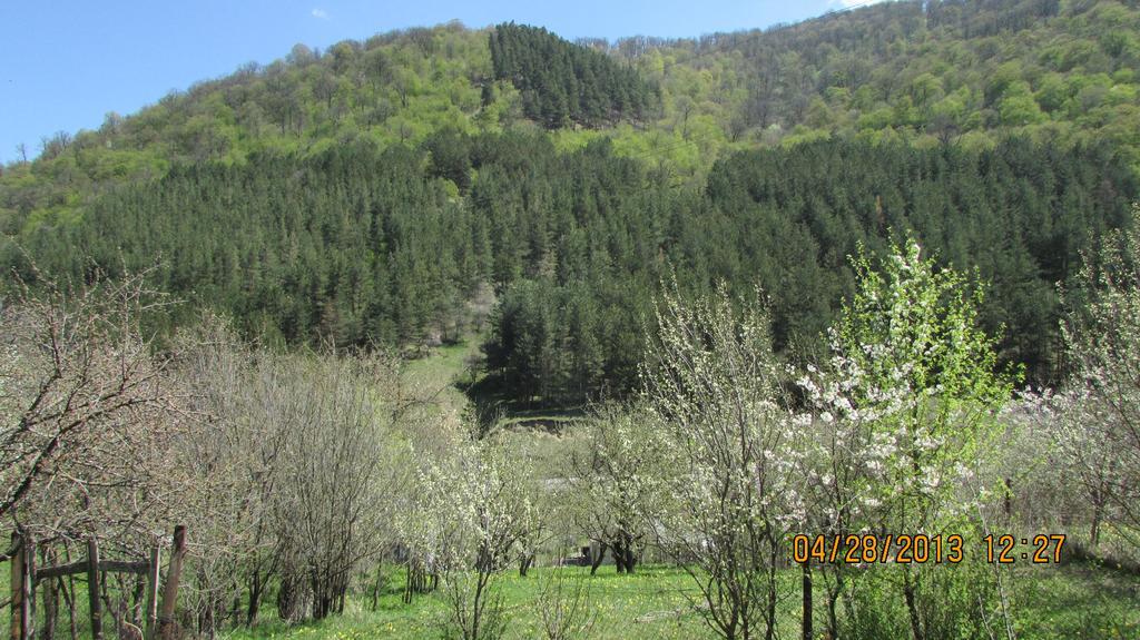 Dilijan Duplex Villa Luaran gambar