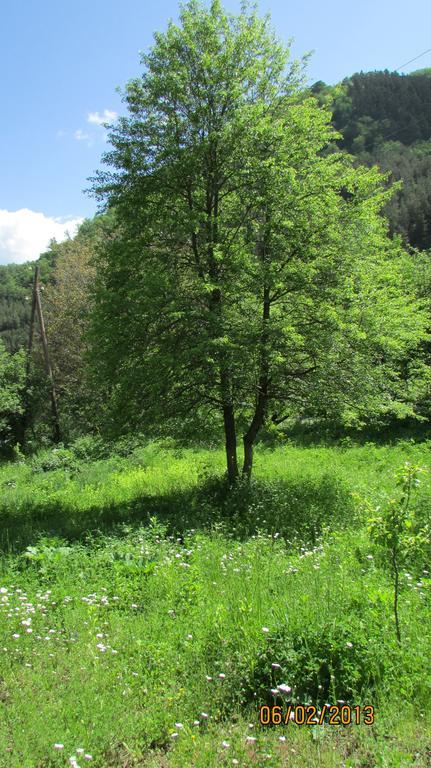 Dilijan Duplex Villa Luaran gambar