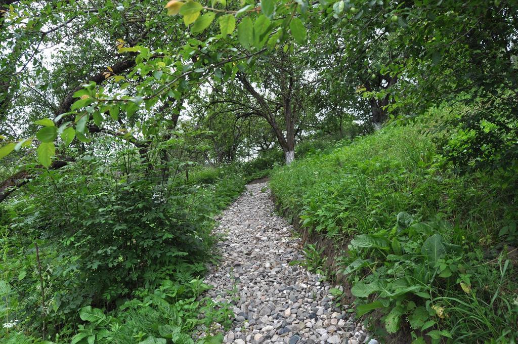 Dilijan Duplex Villa Luaran gambar